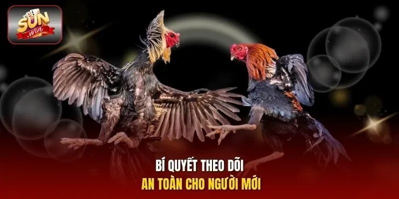 Bí quyết theo dõi an toàn cho người mới