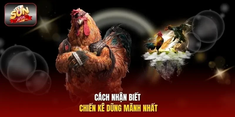 Cách nhận biết chiến kê dũng mãnh nhất