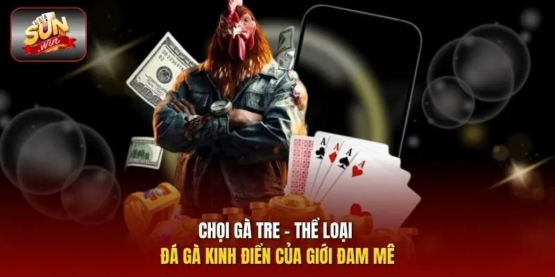 Chọi gà tre