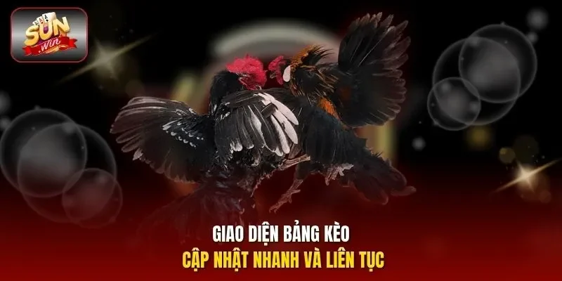 Giao diện bảng kèo cập nhật nhanh và liên tục