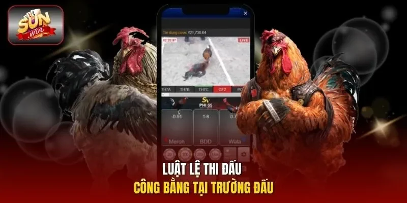 Luật lệ thi đấu công bằng tại trường đấu
