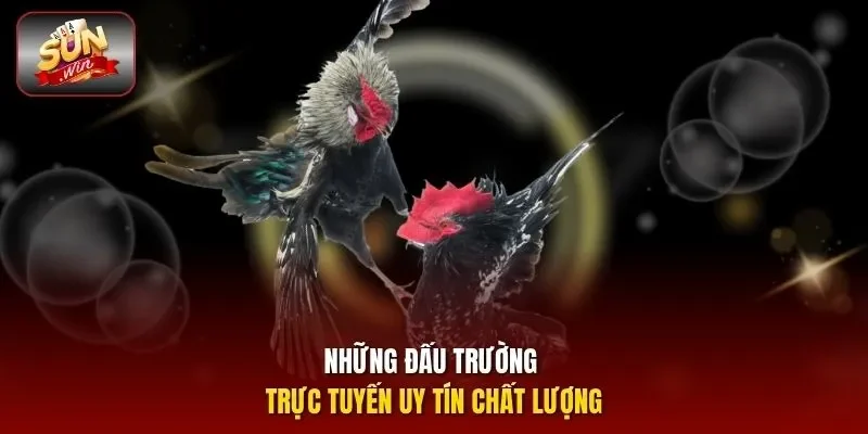 Những đấu trường trực tuyến uy tín chất lượng