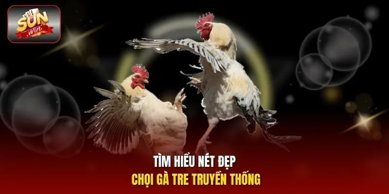 Tìm hiểu nét đẹp chọi gà tre truyền thống