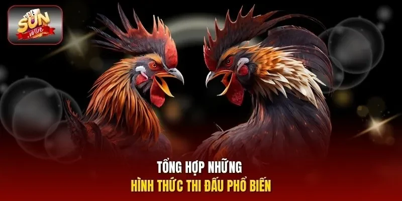 Tổng hợp những hình thức thi đấu phổ biến